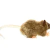 Braune Ratte Kuscheltier Hansa