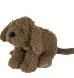 Glückliches Pferd Labradoodle Larry