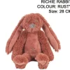 Glückliches Pferd winziger rostiger Hase Richie
