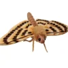 Hansa Creation beige Motte