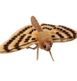 Hansa Creation beige Motte