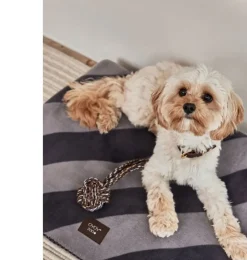 OYOY Hundespielzeug Otto Rope